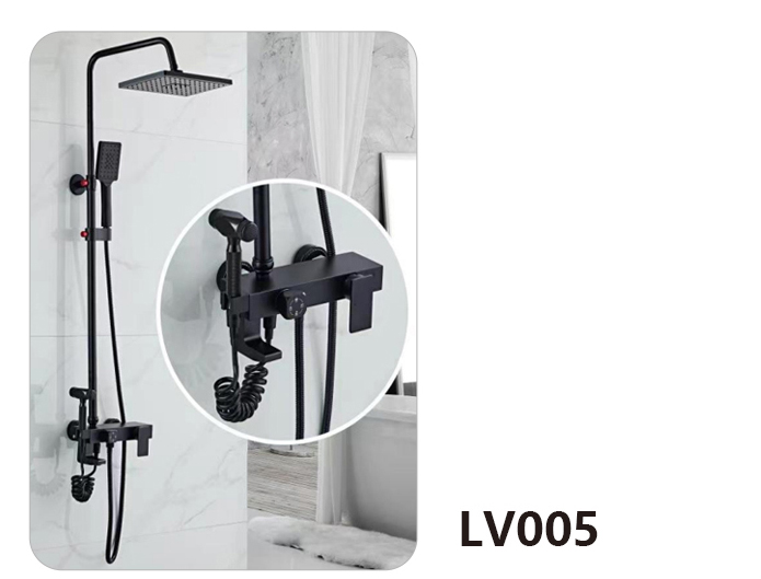 LV005