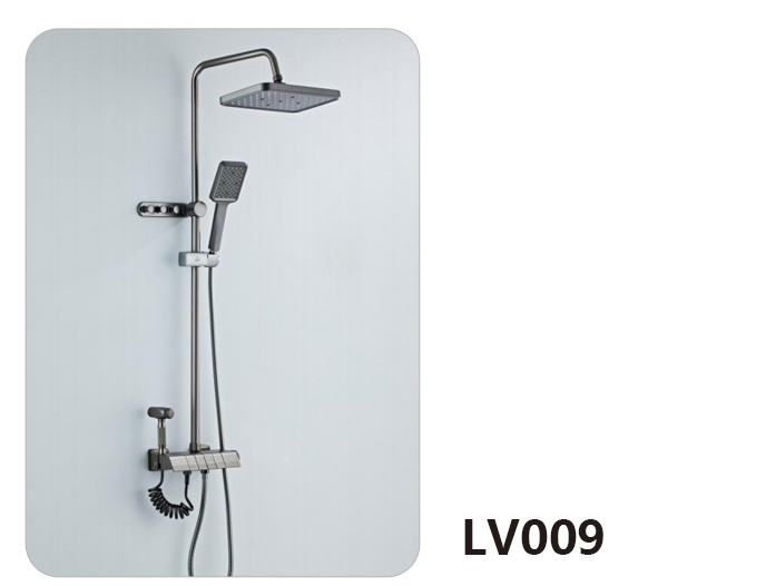 LV009