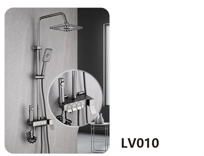 LV010