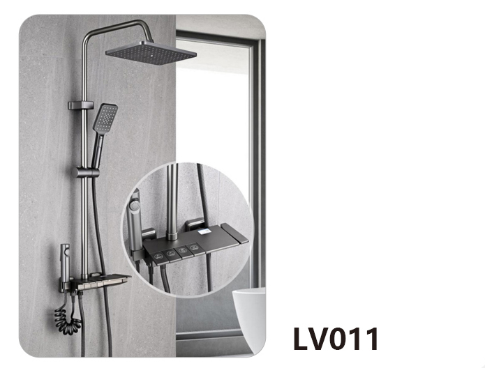 LV011