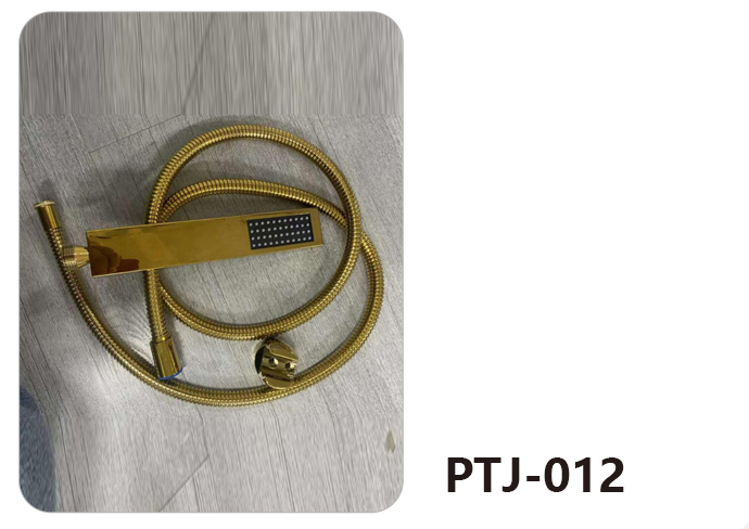 PTJ-012