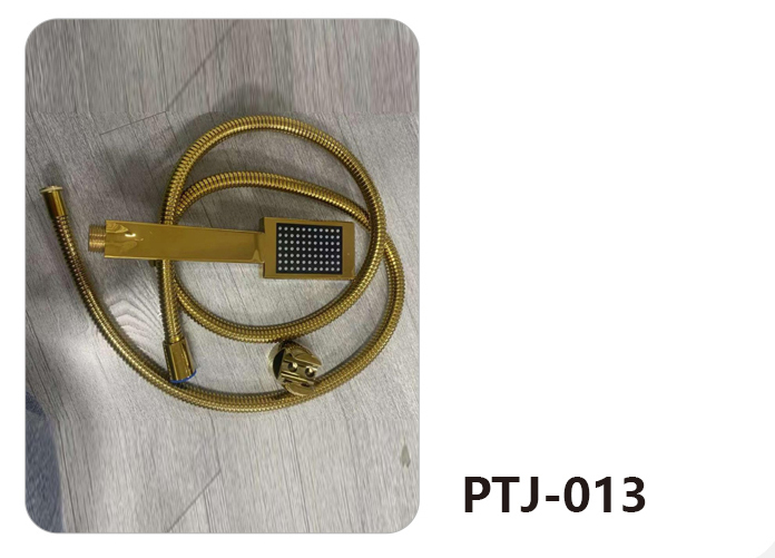 PTJ-013