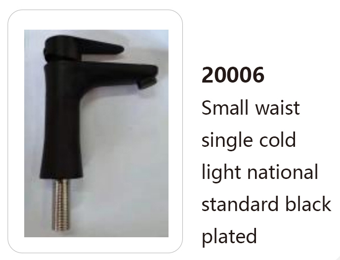 20006