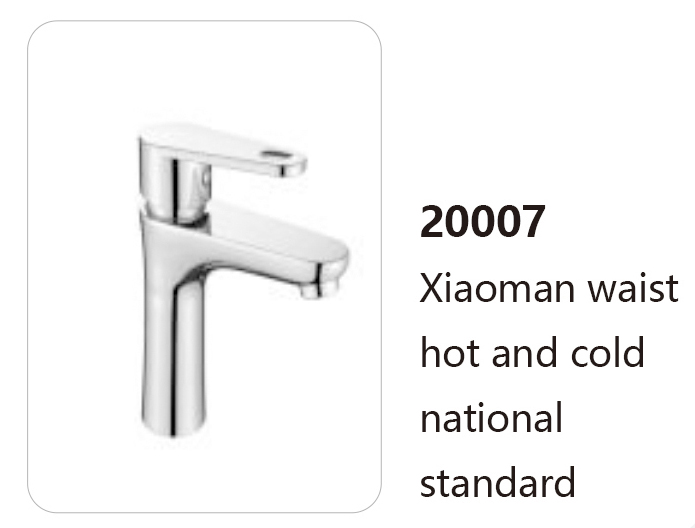 20007