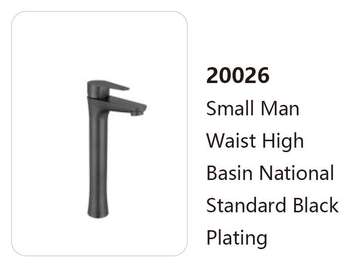 20026
