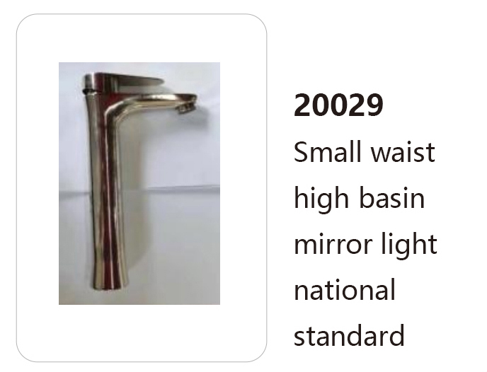 20029