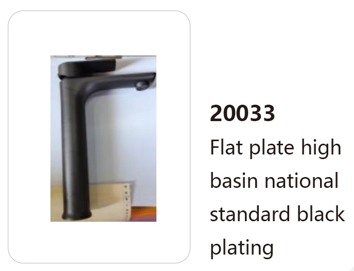 20033