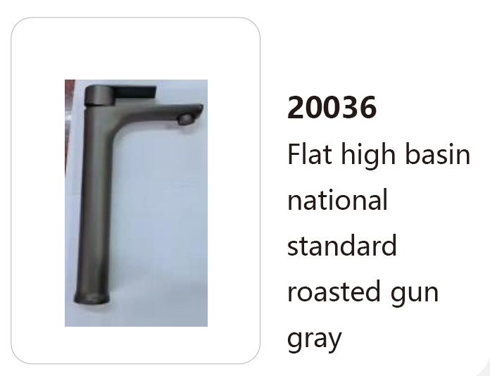 20036