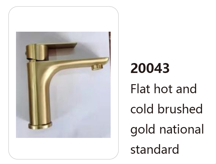 20043
