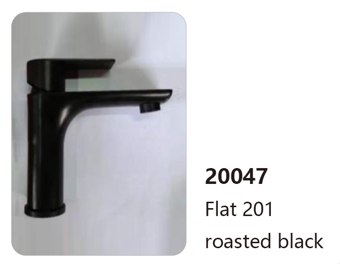 20047