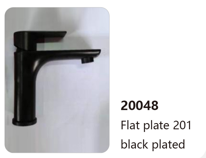 20048