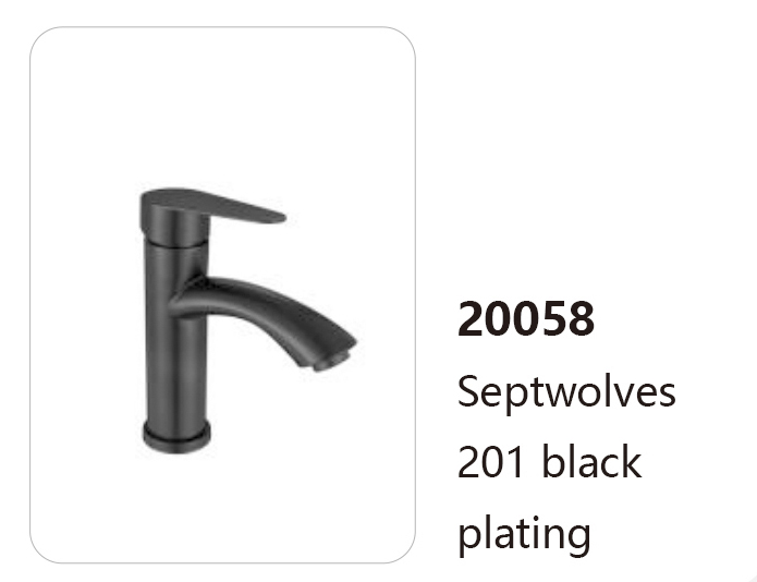 20058