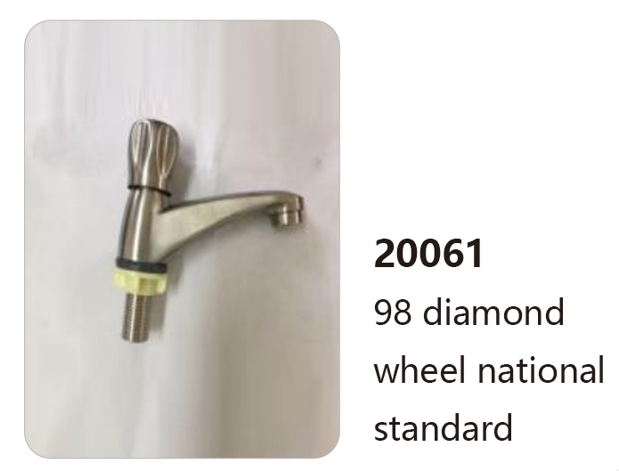 20061