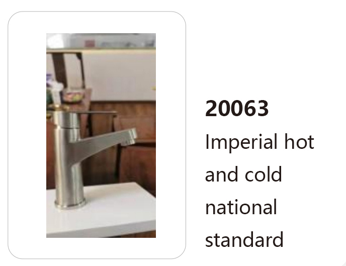 20063