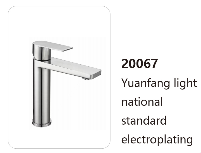 20067