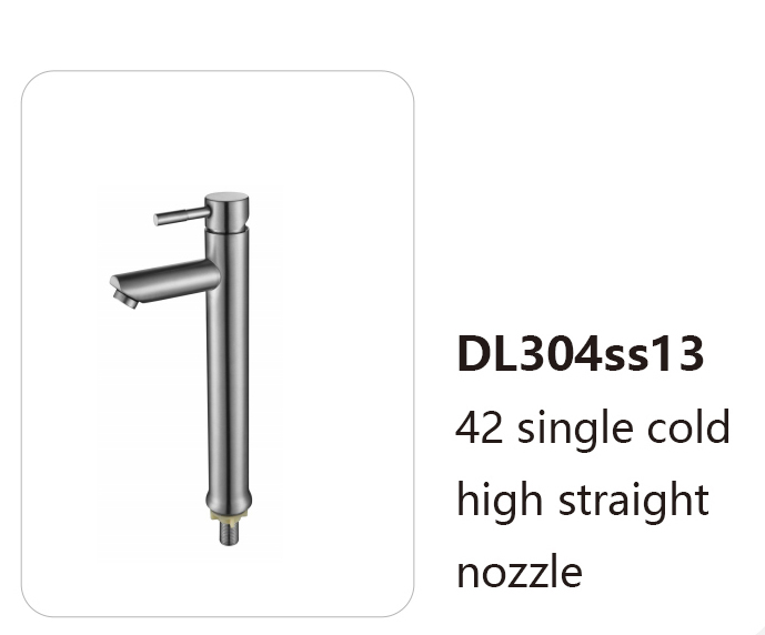 DL304ss13