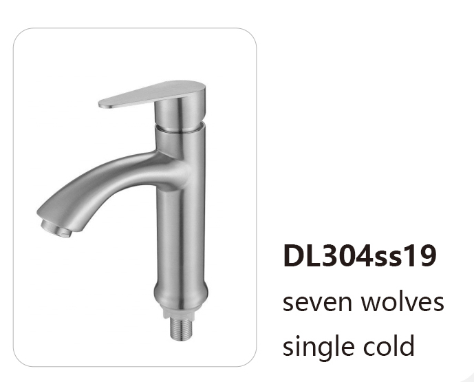 DL304ss19