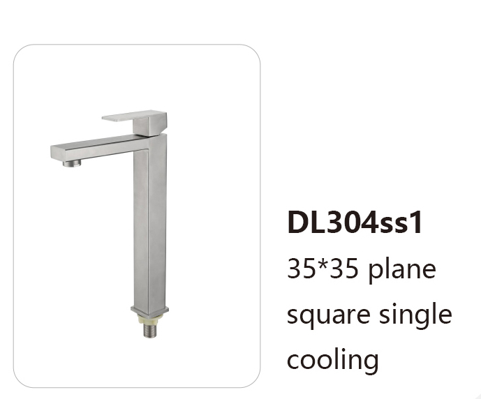 DL304ss1
