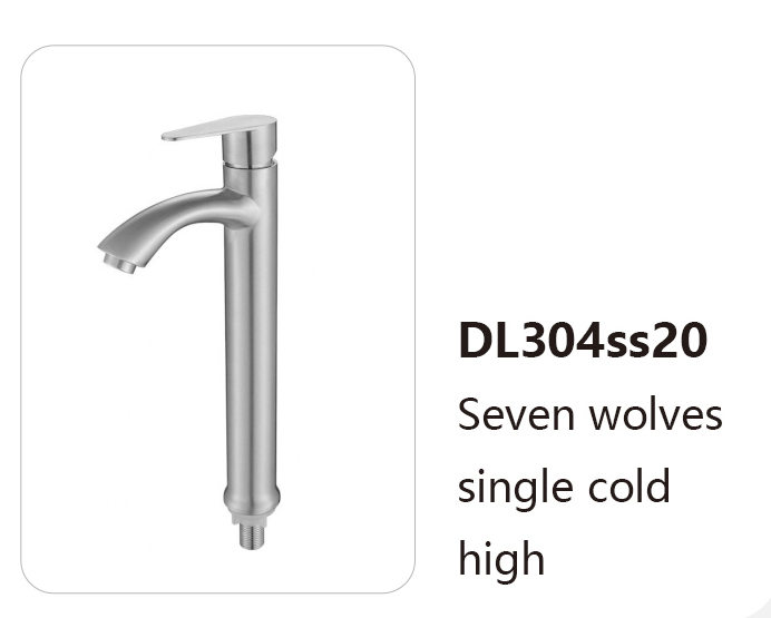 DL304ss20
