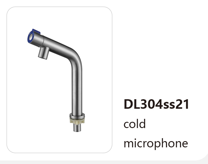 DL304ss21