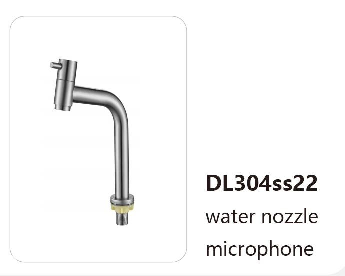DL304ss22