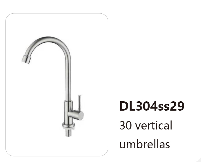 DL304ss29
