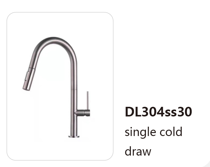 DL304ss30
