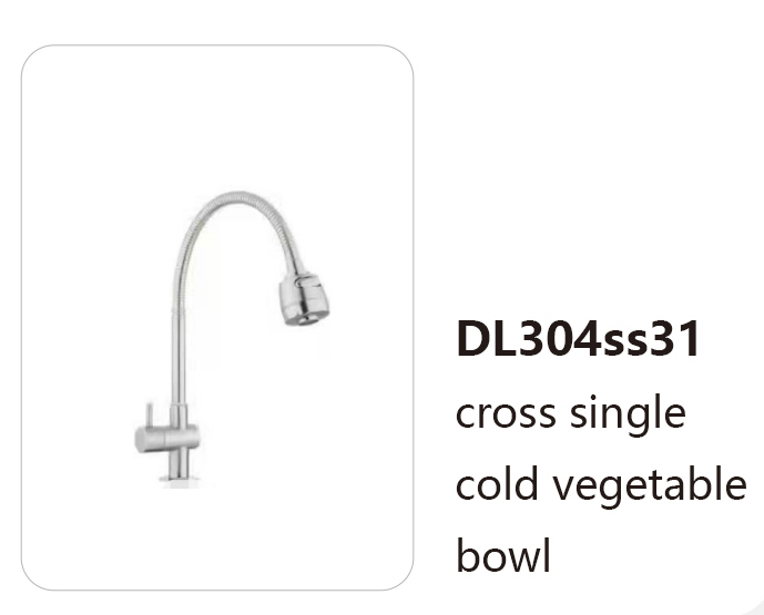 DL304ss31