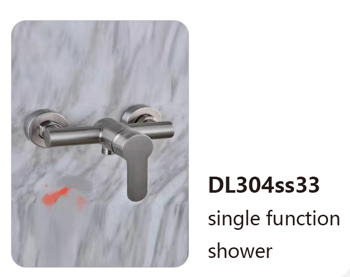 DL304ss33