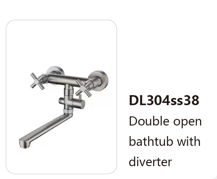 DL304ss38