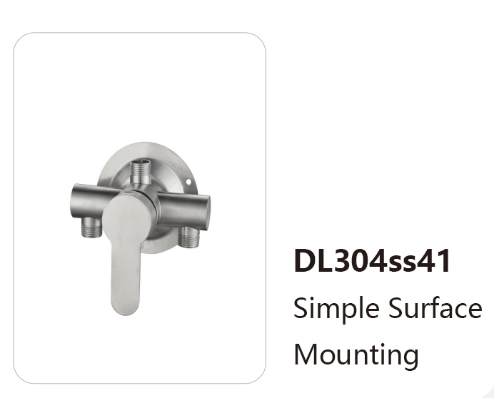 DL304ss41