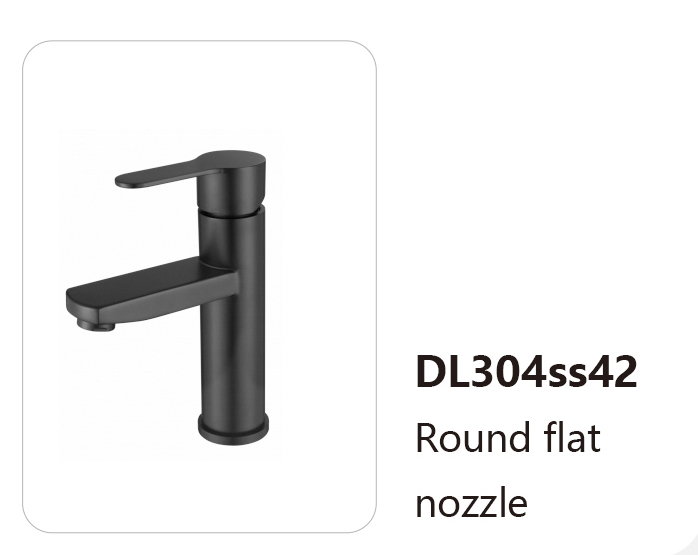 DL304ss42