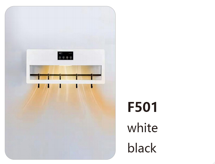 F501