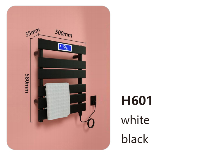 H601
