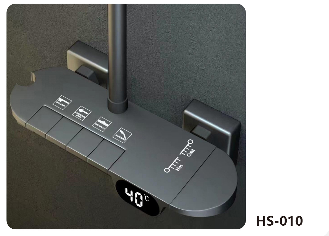 HS-010