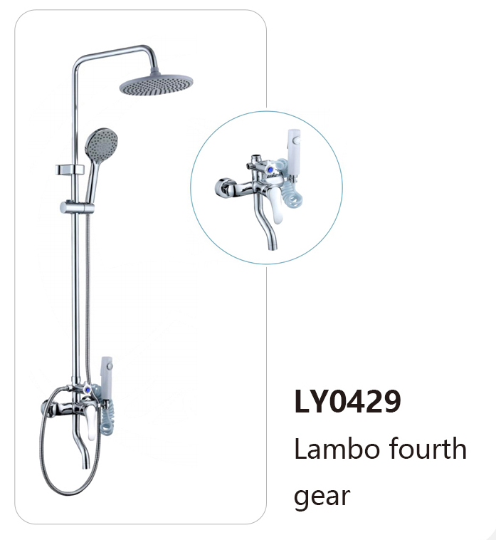 LY0429