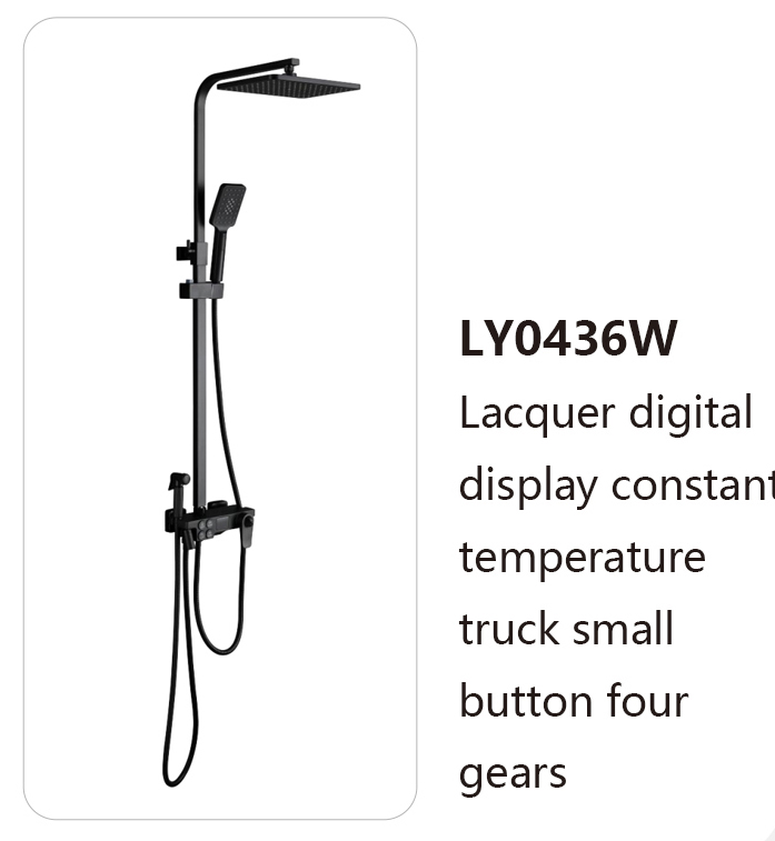 LY0436W