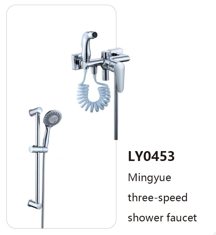 LY0453