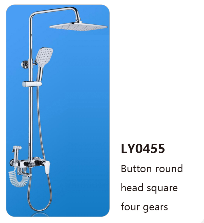 LY0455