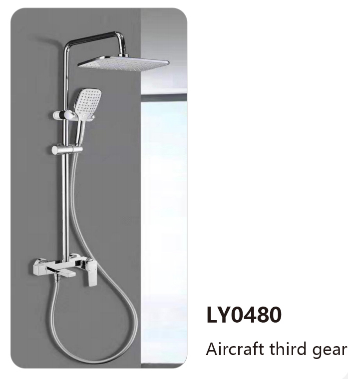 LY0480