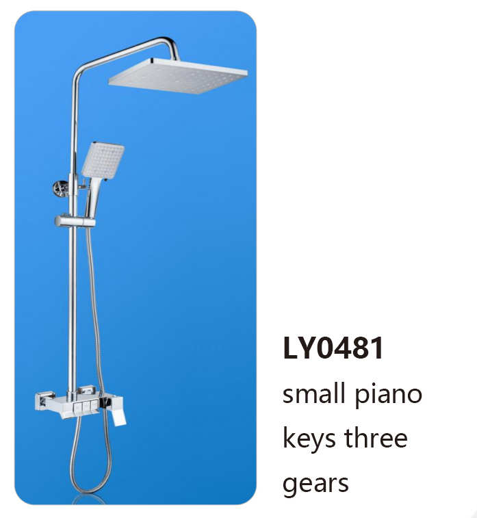 LY0481