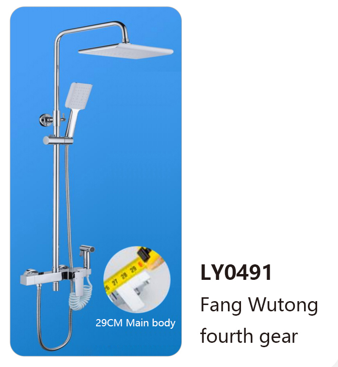 LY0491