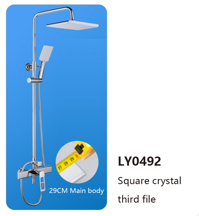 LY0492