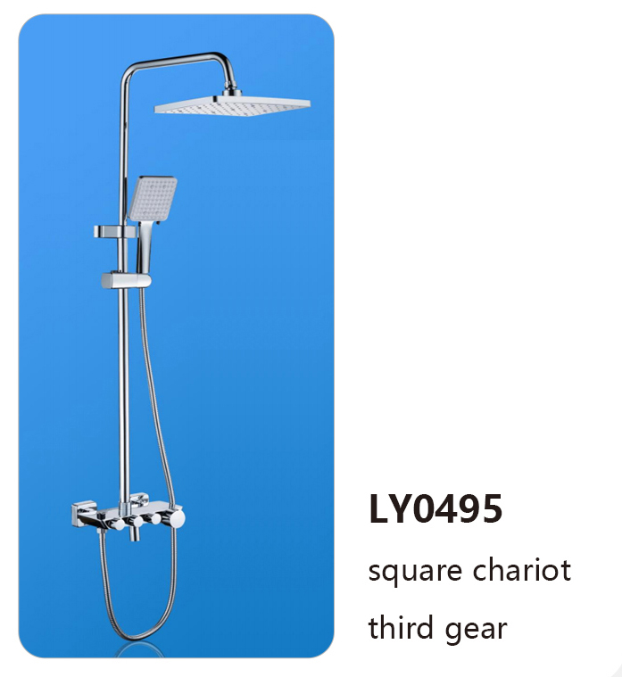 LY0495