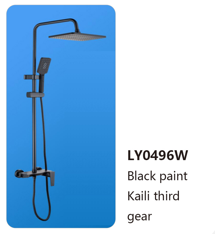 LY0496W