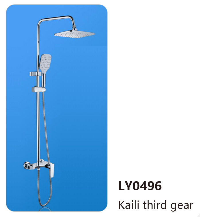 LY0496