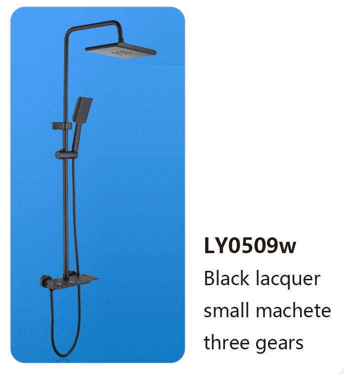 LY0509W