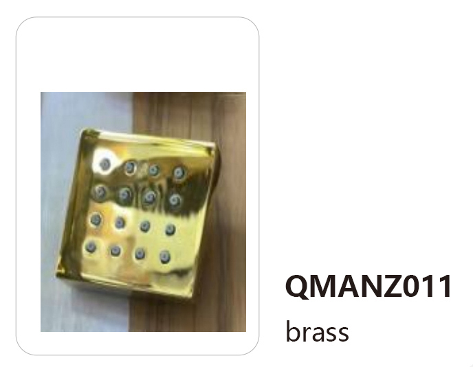 QMANZ011