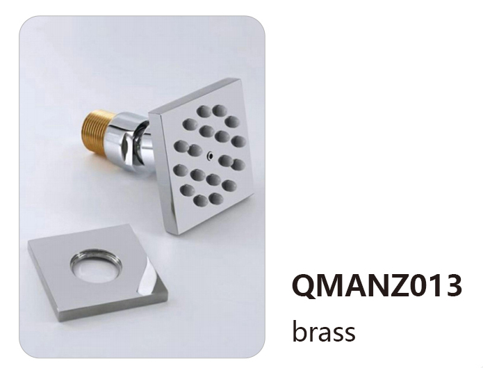 QMANZ013