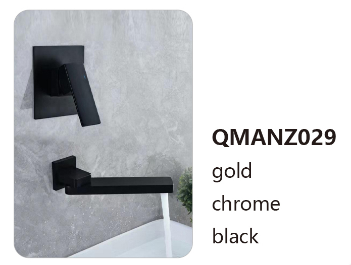 QMANZ029